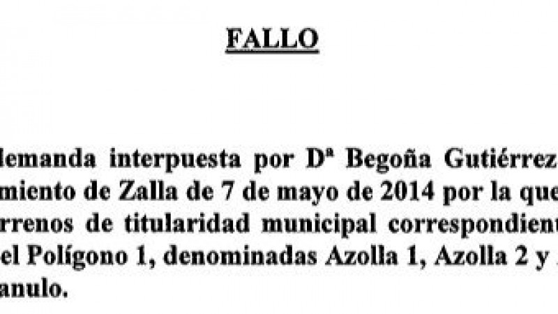 Imágenes generales de Zalla