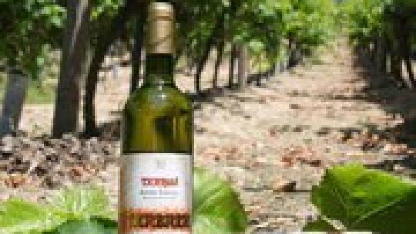 ZORIONAK A TXAKOLI TXABARRI!!