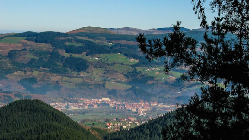 EAJ-PNV Zalla defiende un sistema de gestión forestal sostenible